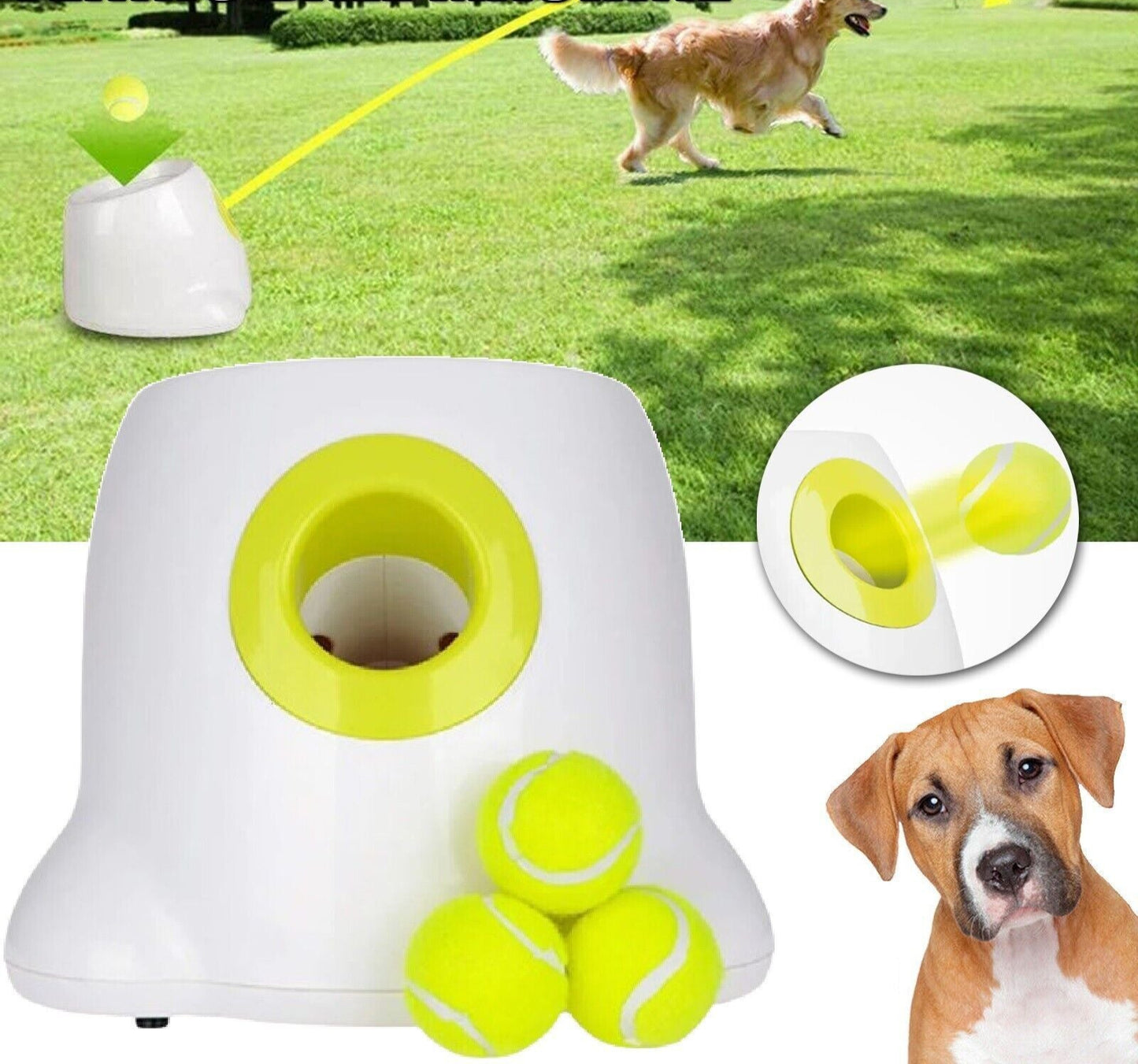 The Dog Ball Launcher