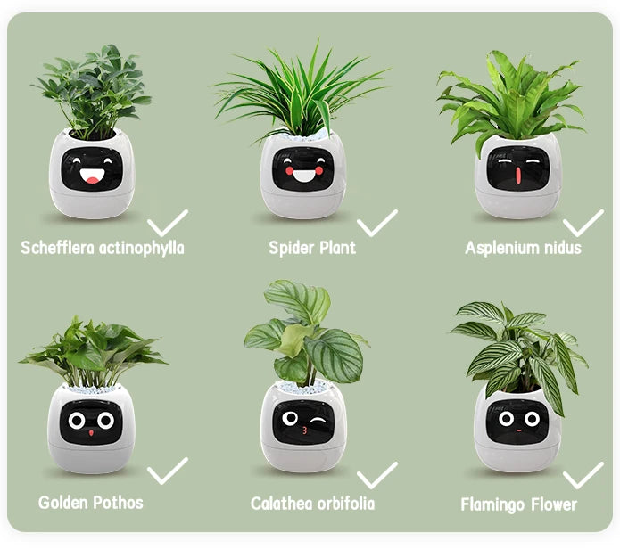 Plantagotchi - AI Smart Planter Companion