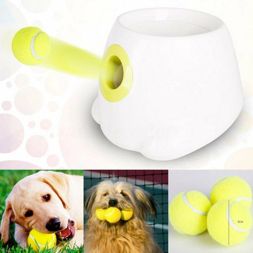 The Dog Ball Launcher